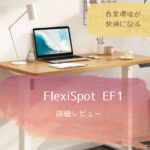 FlexiSpot EF1
